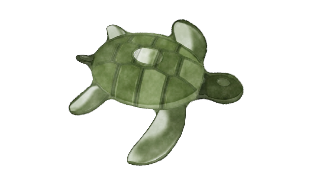 Watercolour plate of a green turtle.