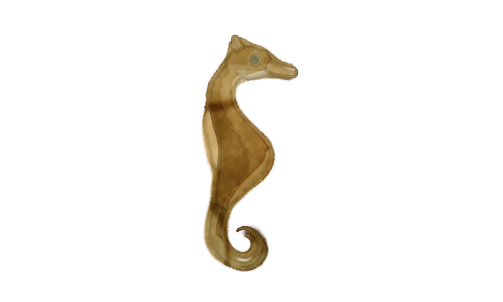Watercolour plate of a seahorse.